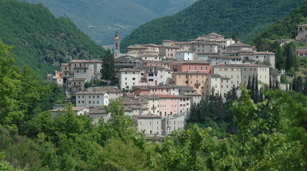 Preci and the old school of surgery