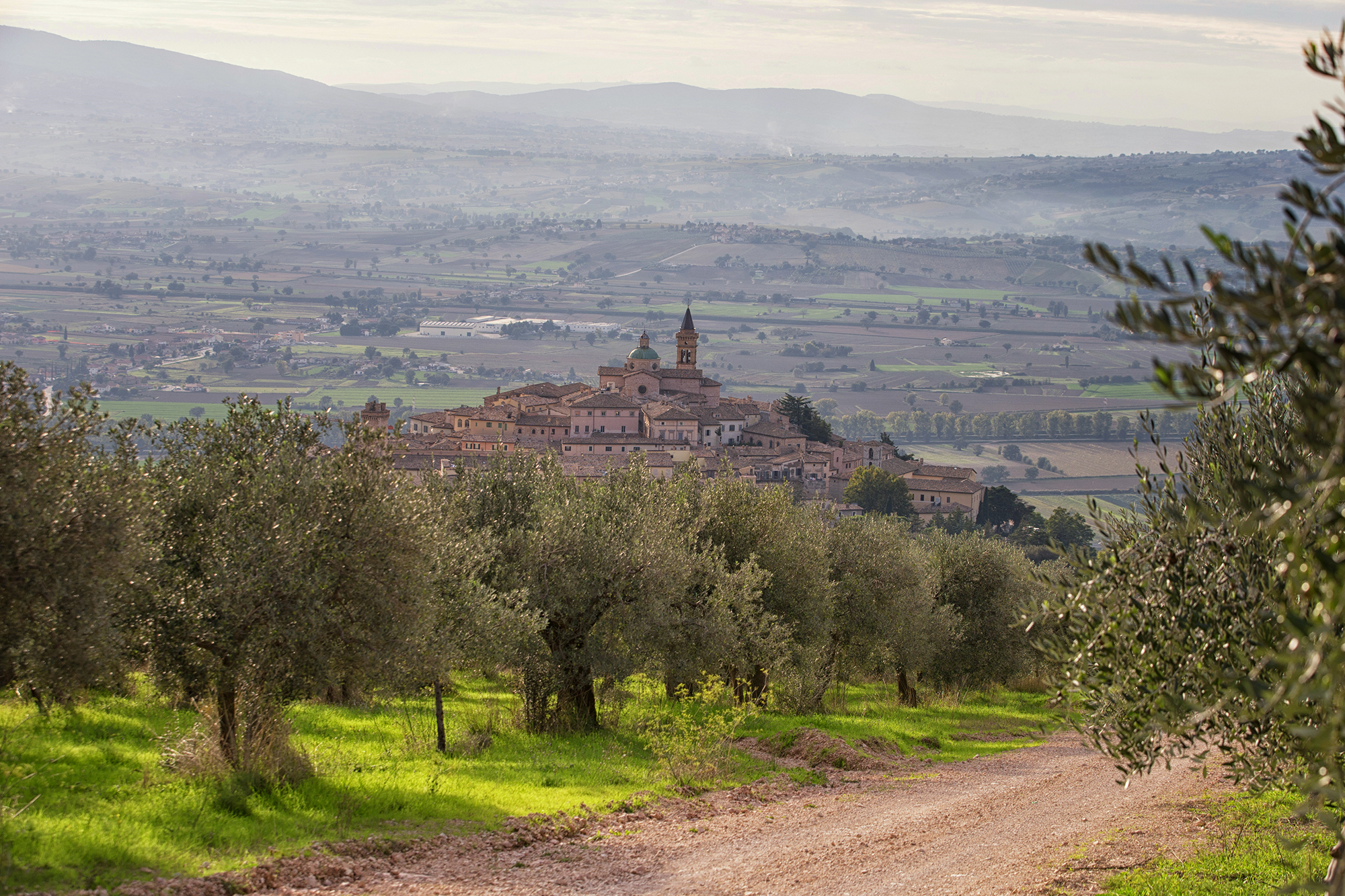 The Poets' Springs: from Poreta to Trevi