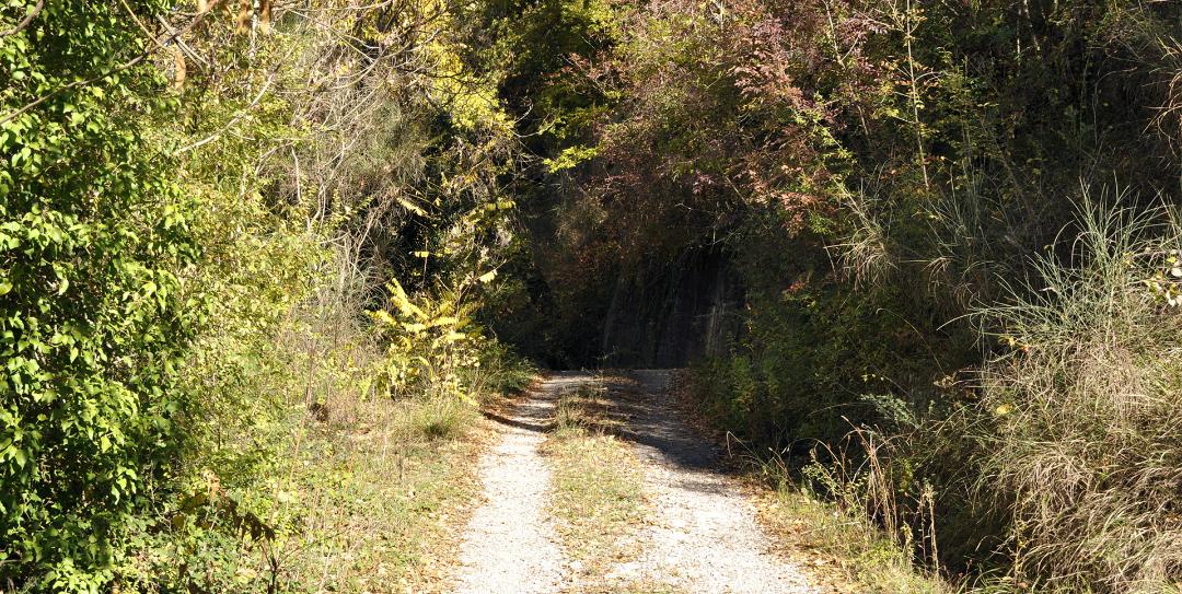 Valfabbrica, between art, culture and trekking