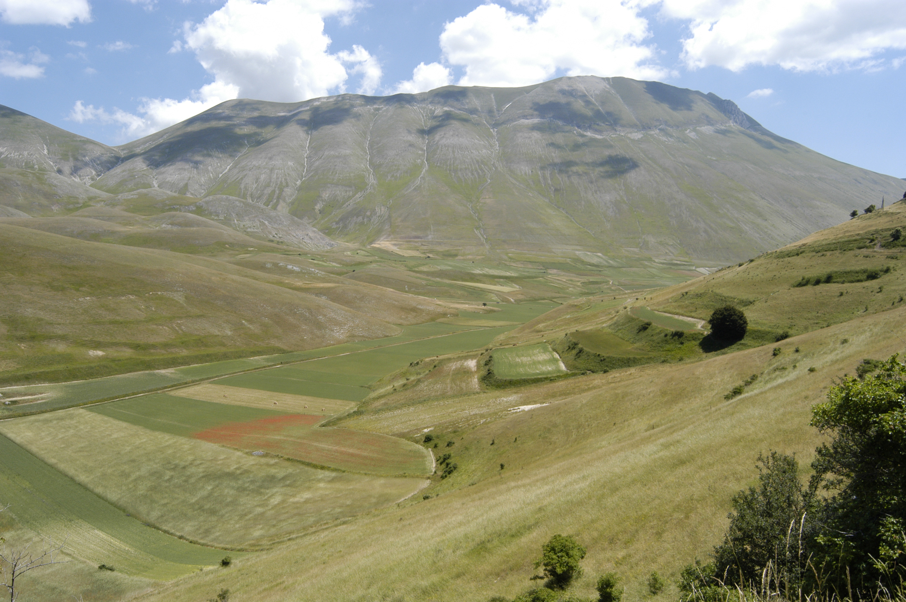 Mountain biking in Castelluccio