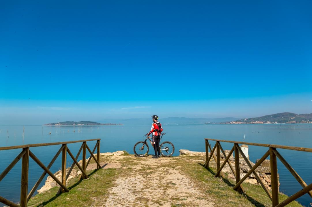 MTB - Woods and climbs on the hills of Lake Trasimeno