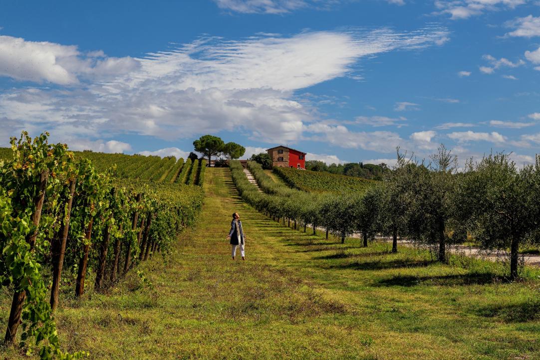 Torgiano and Deruta among wine and majolicas