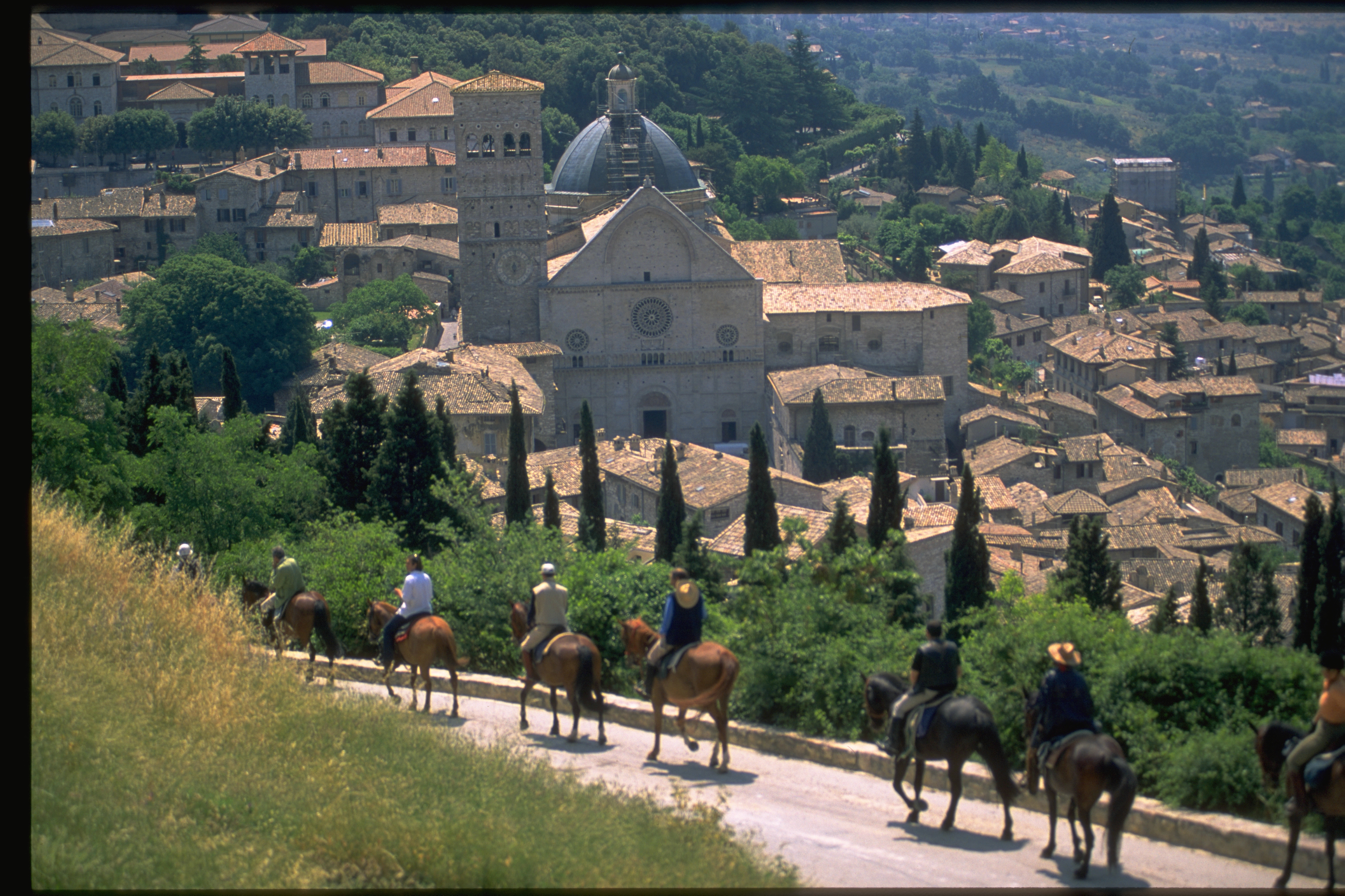 Romanesque Cathedrals and Churches