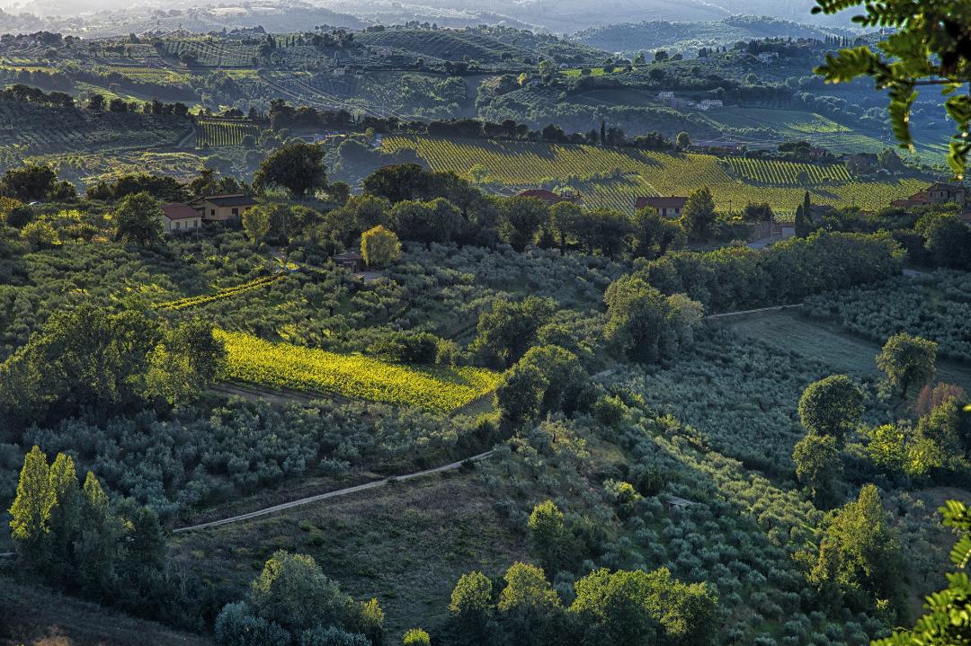 DOC Weine und DOCG Montefalco - Sagrantino