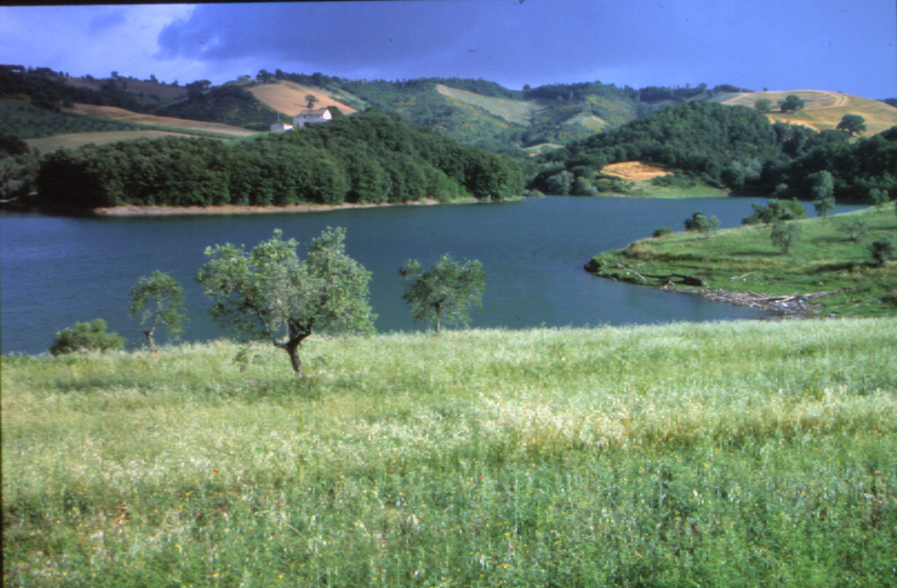 Vini Doc Lago di Corbara