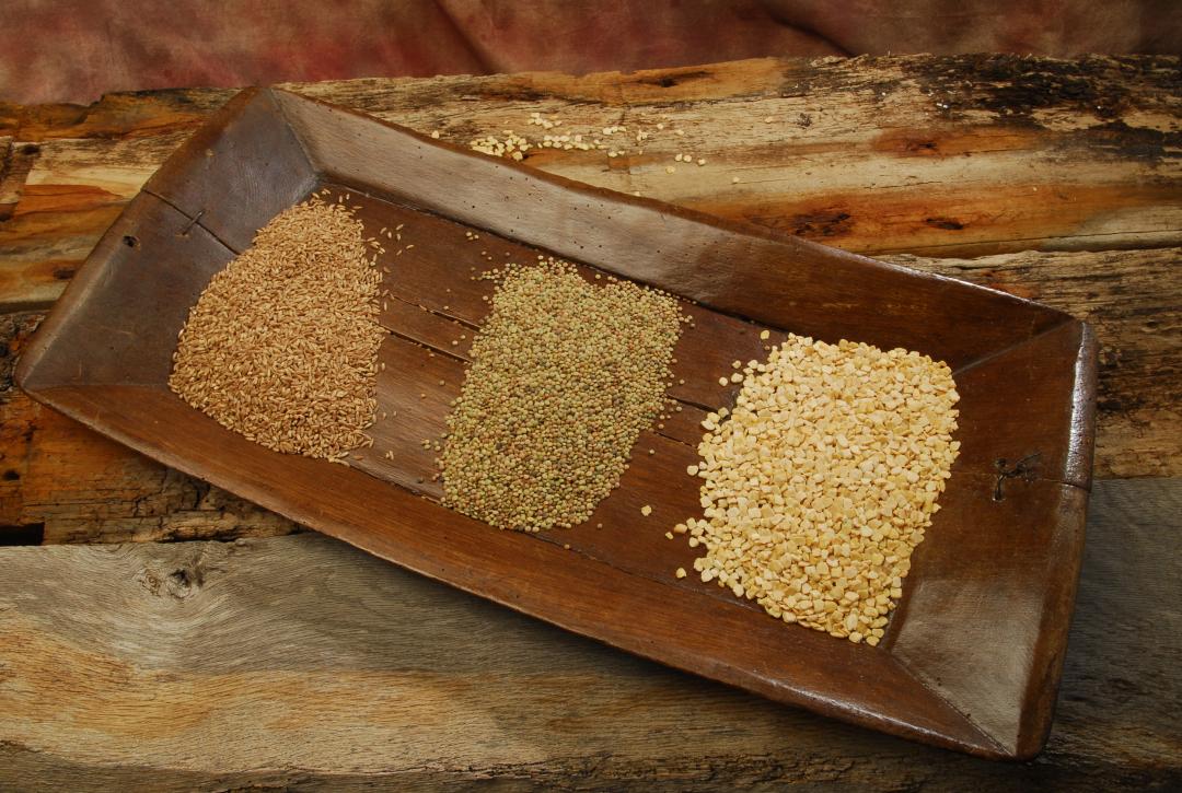 Fruits of the earth from Colfiorito