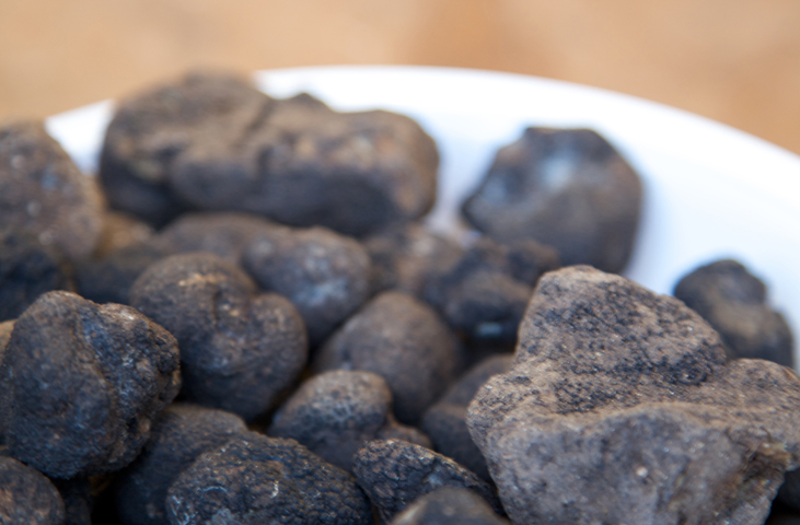 Schwarze Trüffel mit erdiger Patina, einer unregelmäßigen und runzeligen Oberfläche, auf einem weißen Teller arrangiert.