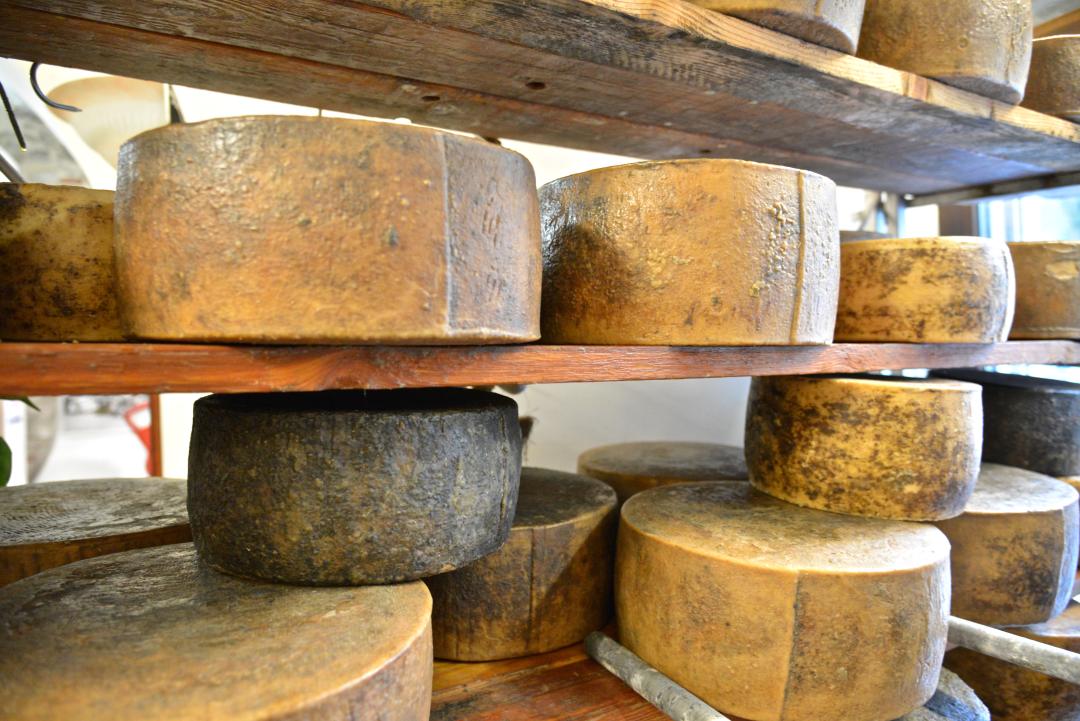 Pecorino di Norcia del Pastore