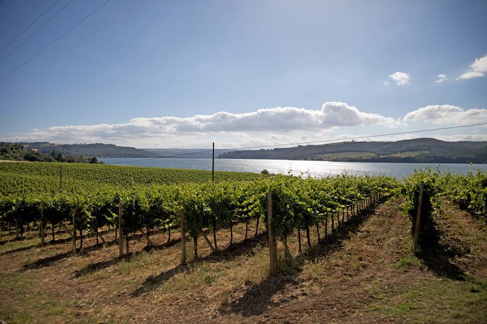 From Narni to Orvieto along the Etruscan Roman wine trail