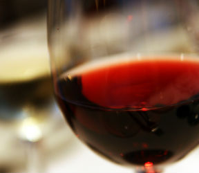 Gamay, vitigno tipico del Trasimeno