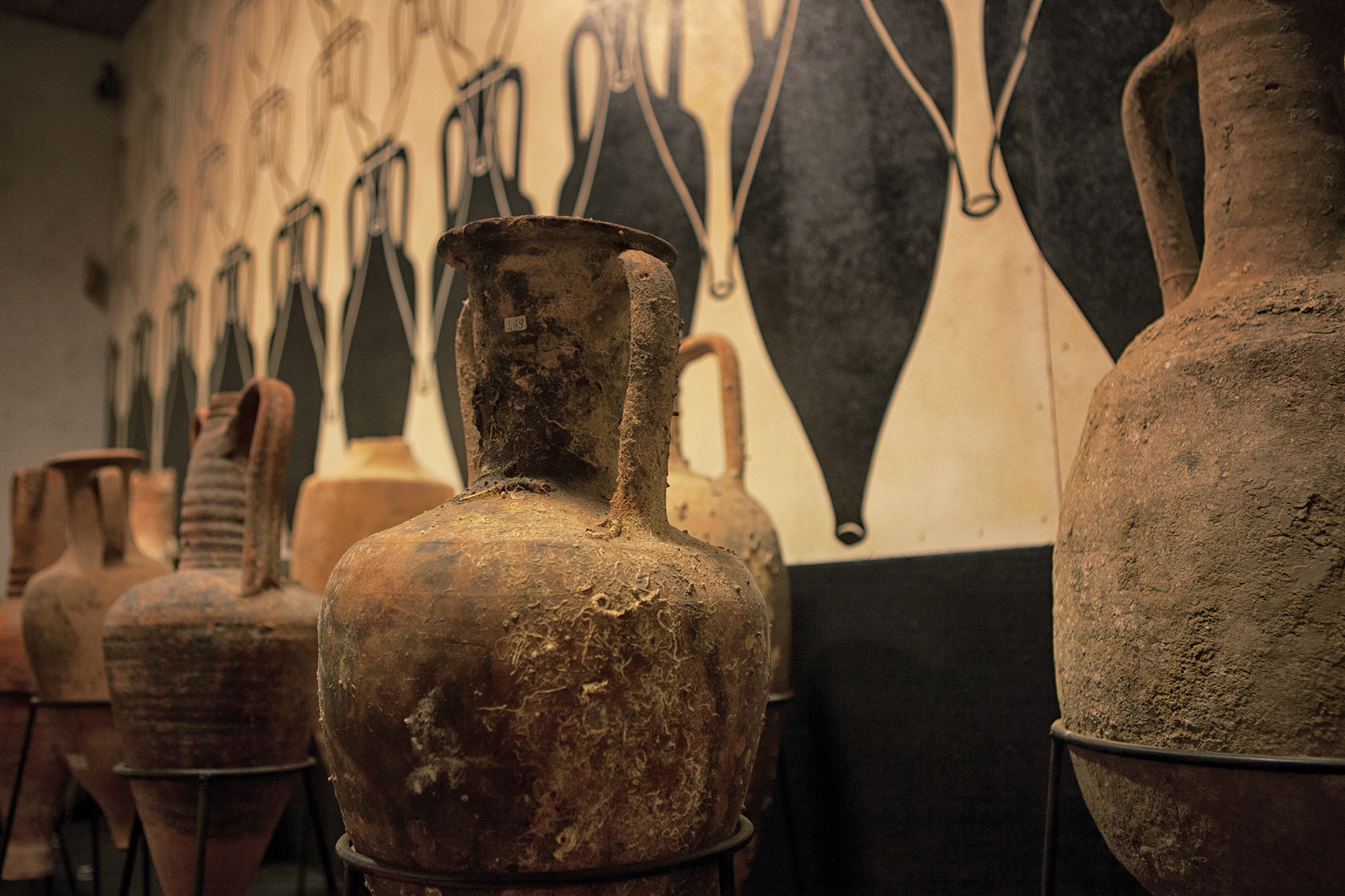 From Perugia to Todi, along the Cantico Wine Route