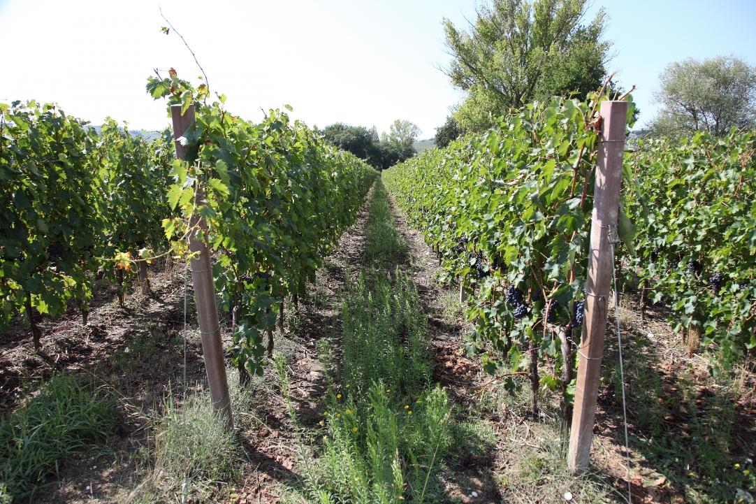 Terni and Narni: a journey through tradition and taste