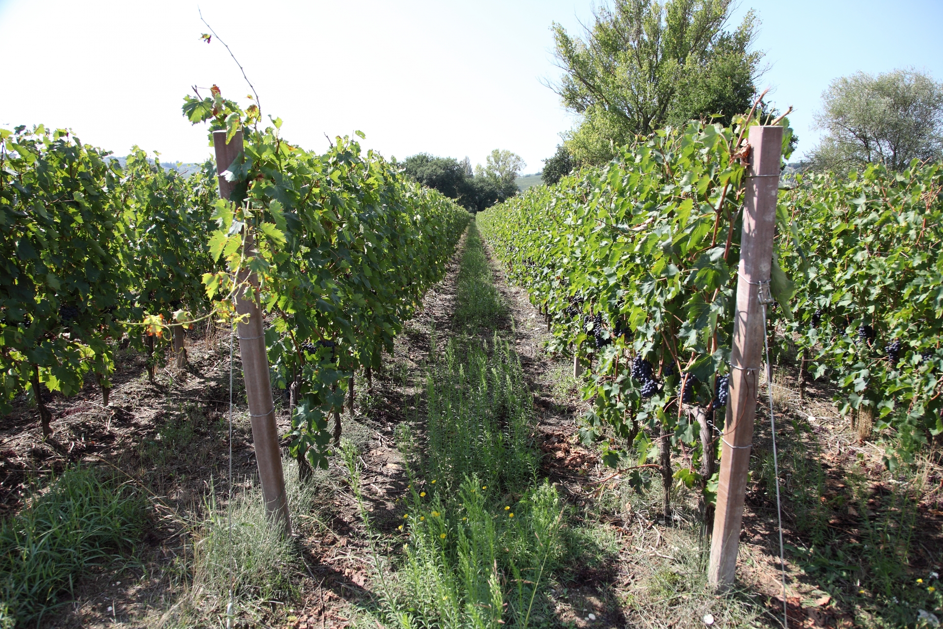 A weekend in the midst of nature and history, in Amelia, Narni, and more