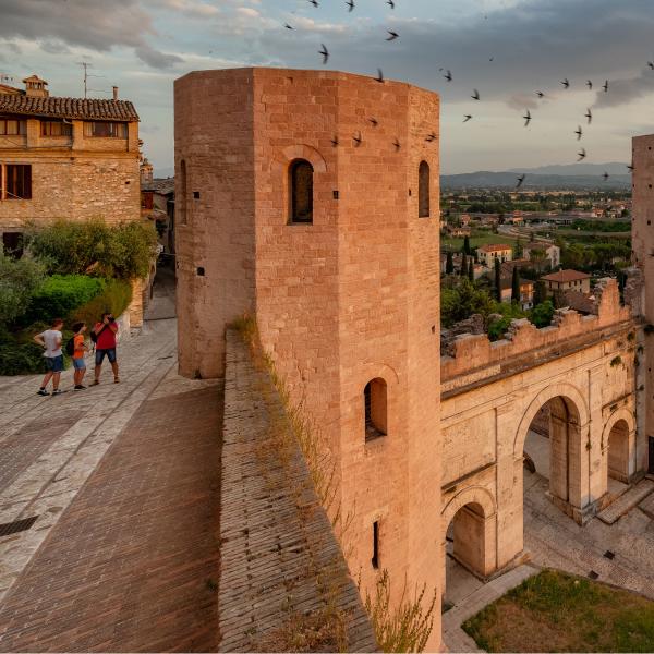 Titolo: Alla scoperta di Hispellum, 
