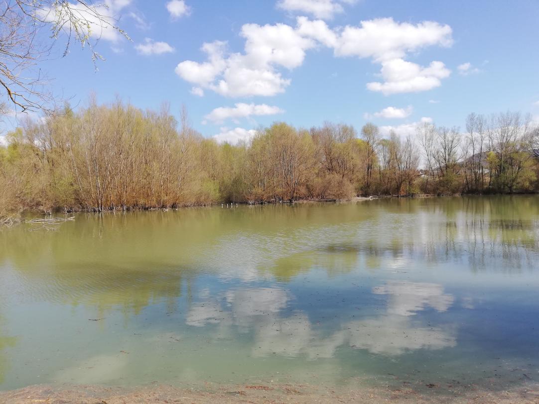 specchio d’acqua del fiume con alberi sullo sfondo