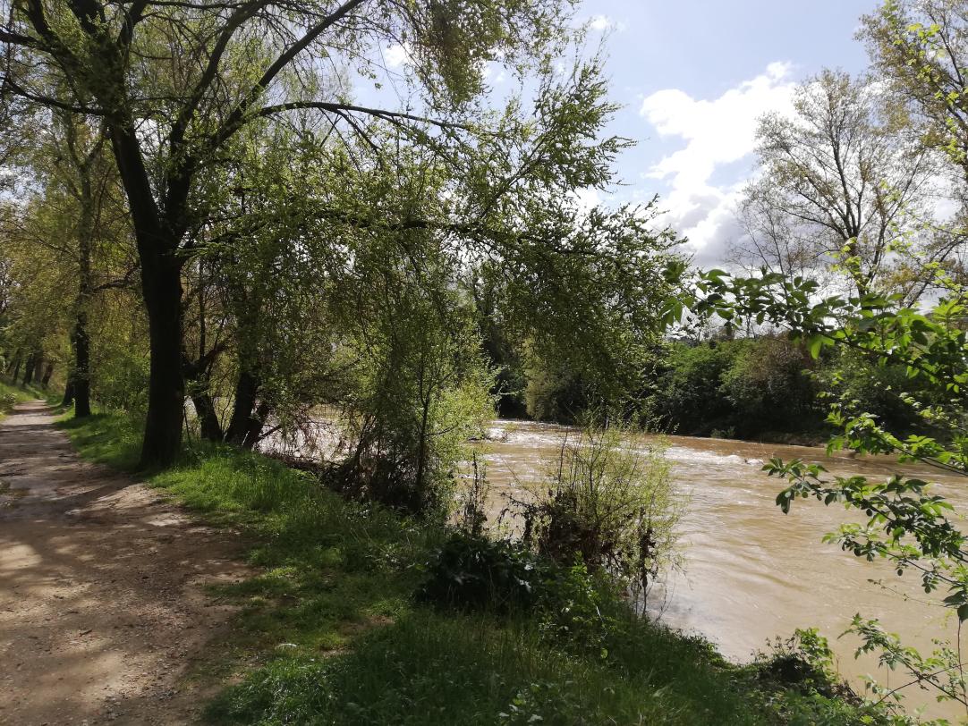 Sponda di un fiume con percorso ciclabile