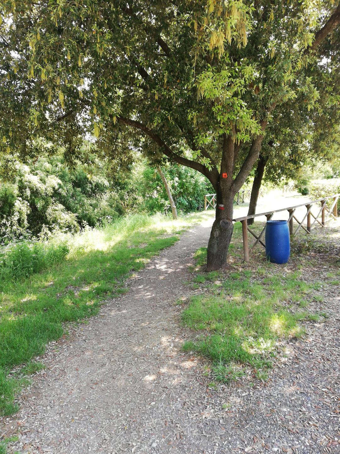 Connexion Piste Cyclable du Tibre – Piste Cyclable Assisi – Spoleto