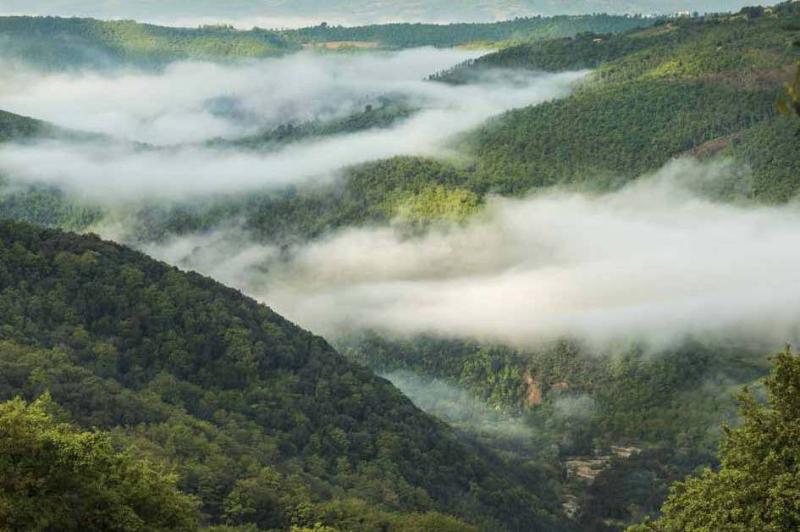 Riserva Mondiale della Biosfera Unesco del Monte Peglia