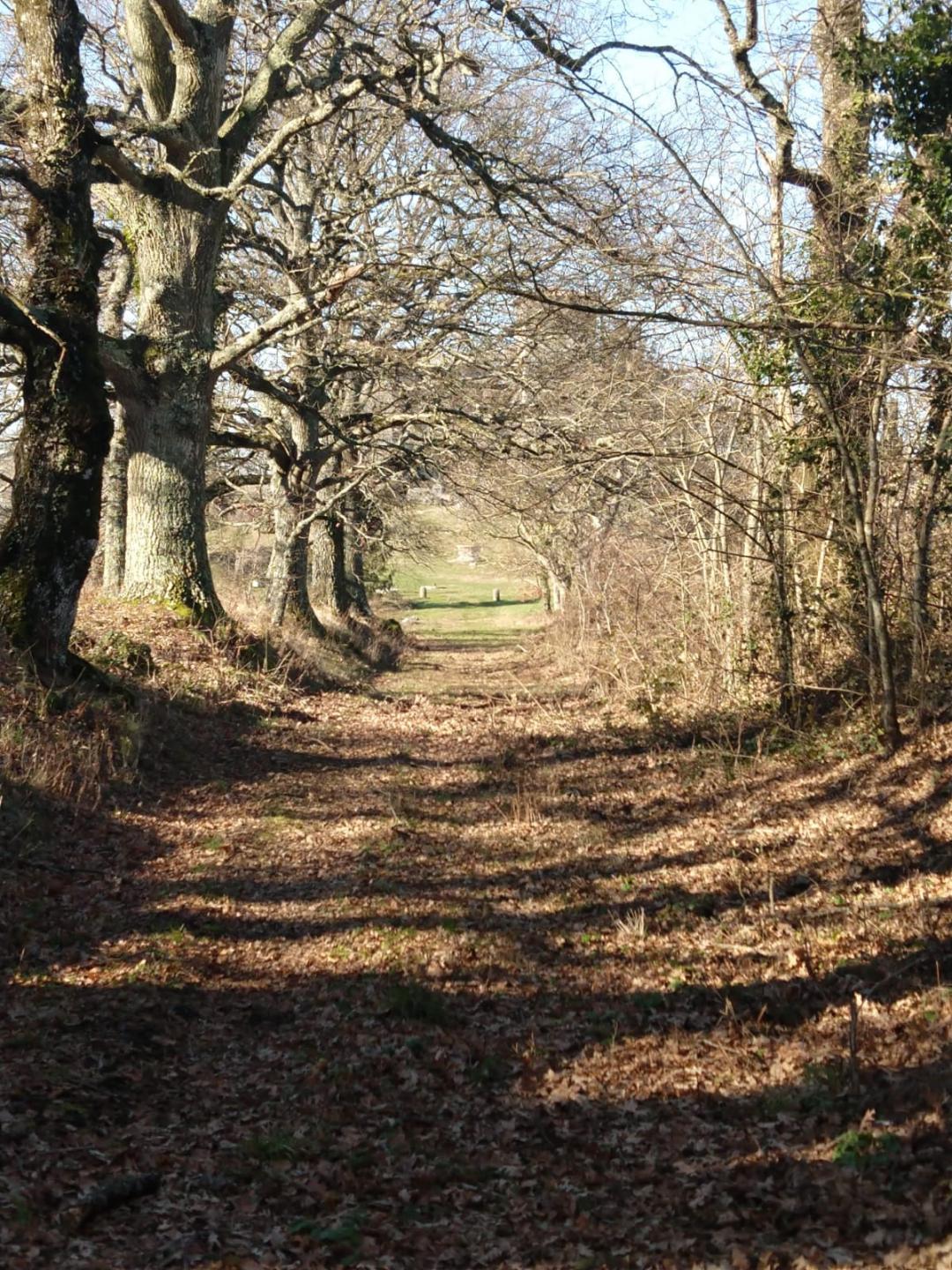 Castello di Montalfina