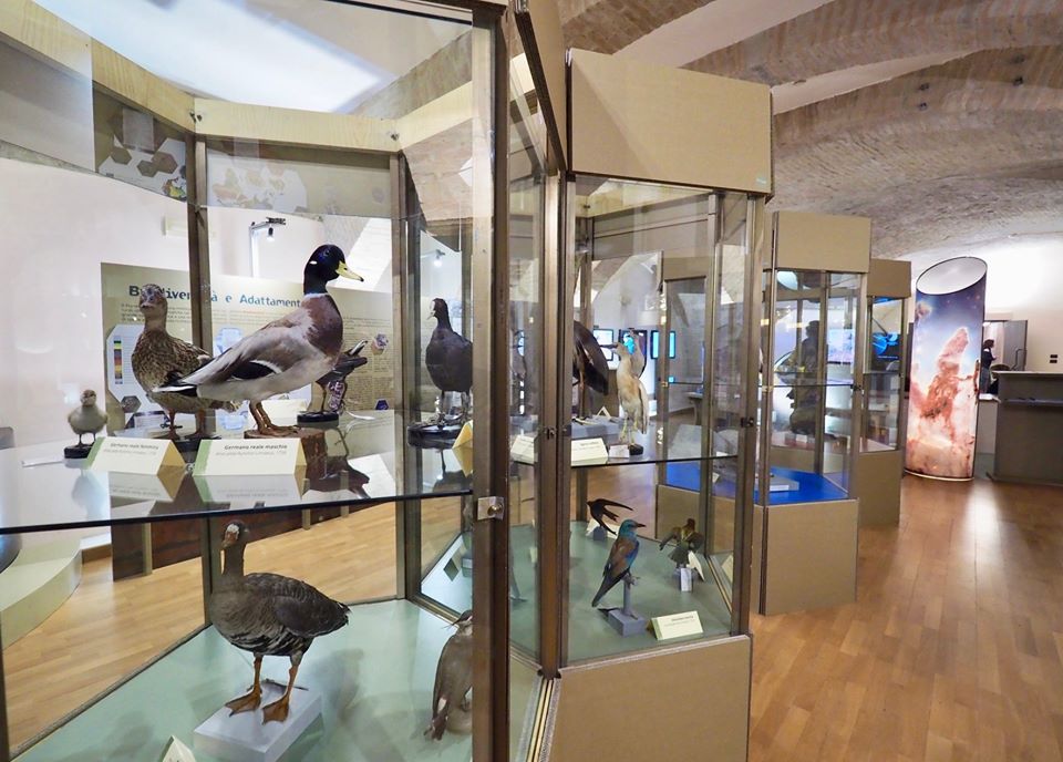 Musei in Umbria a misura di bambino