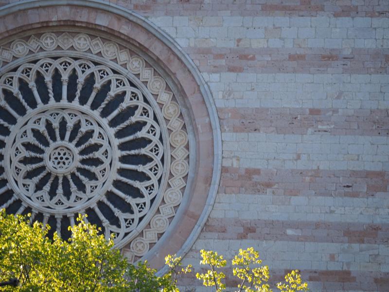 Titolo: Itinerario della Santità femminile