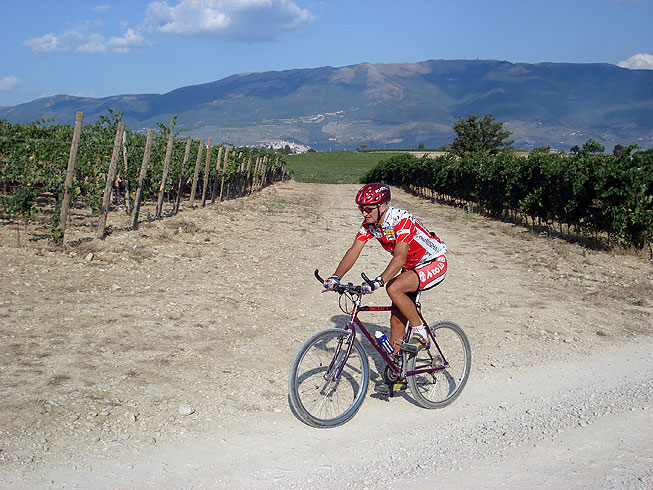 The Sagrantino wine trail and the views from Montefalco