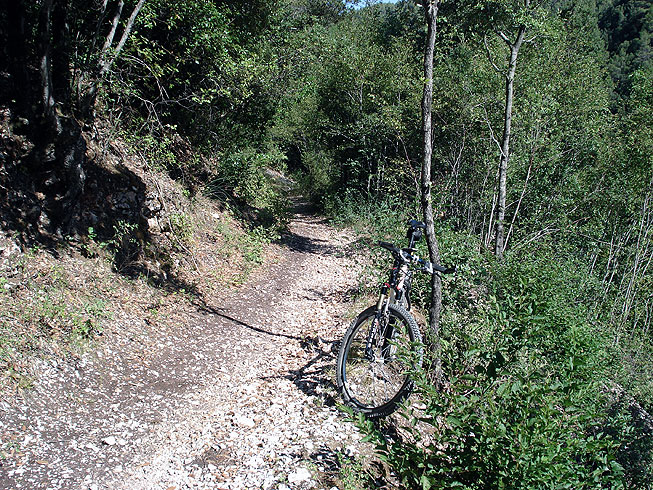 Spoleto e il Bosco Sacro di Monteluco