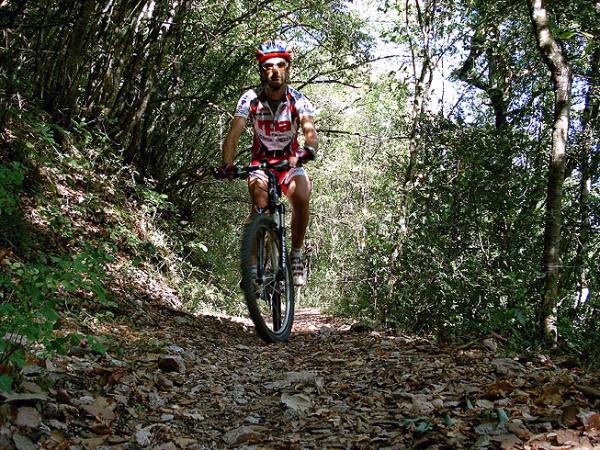  Spoleto and the Bosco Sacro (sacred wood) of Monteluco 