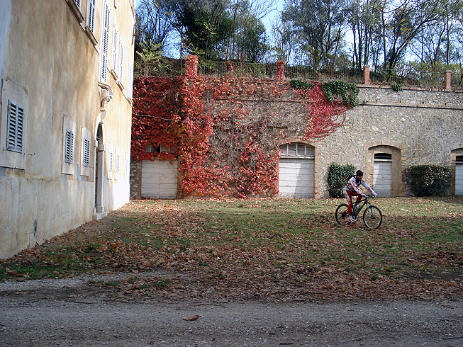 Der Corbara-See und die Wälder des Monte Peglia