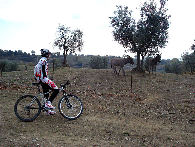 Der Corbara-See und die Wälder des Monte Peglia
