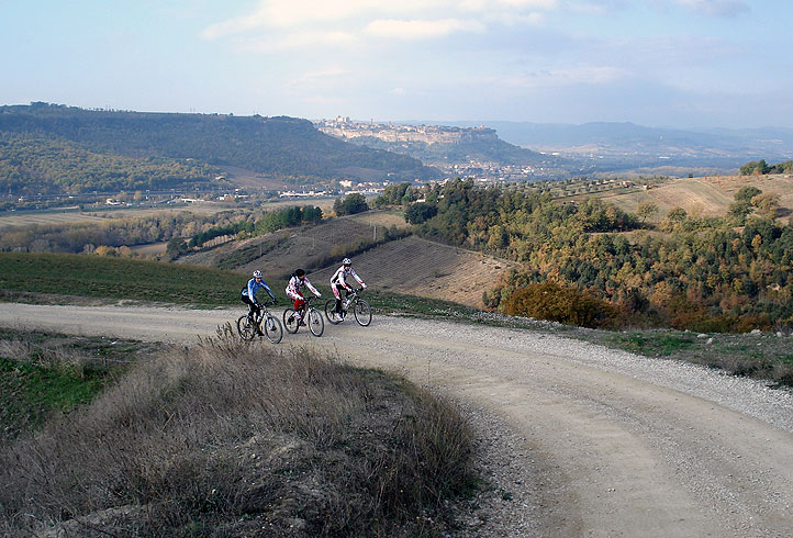 Lake Corbara and the woods of Monte Peglia