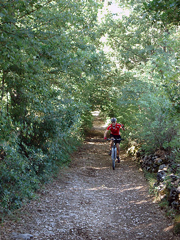 Cascia: prati e boschi sui monti di Santa Rita