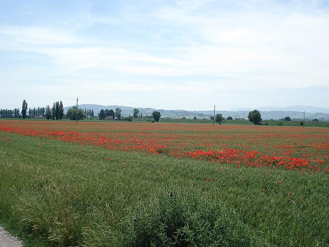 The countryside between Monte Subasio and Bevagna