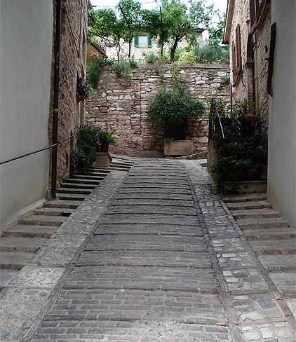 From Spello to Assisi along the ancient Olive Way