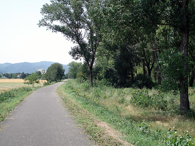 Cycling along the Umbria Valley cycle path between Trevi and Spoleto