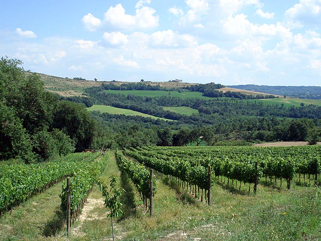 The natural beauty of the Amerini Hills