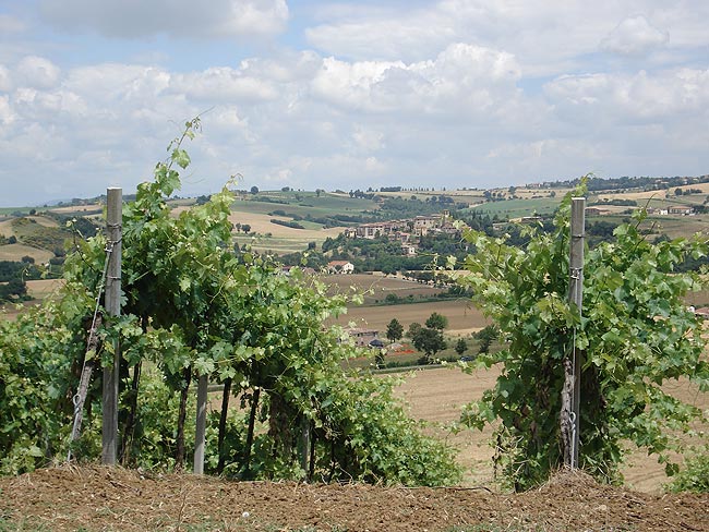 Tra la Valle del Nestore e il Monte Peglia