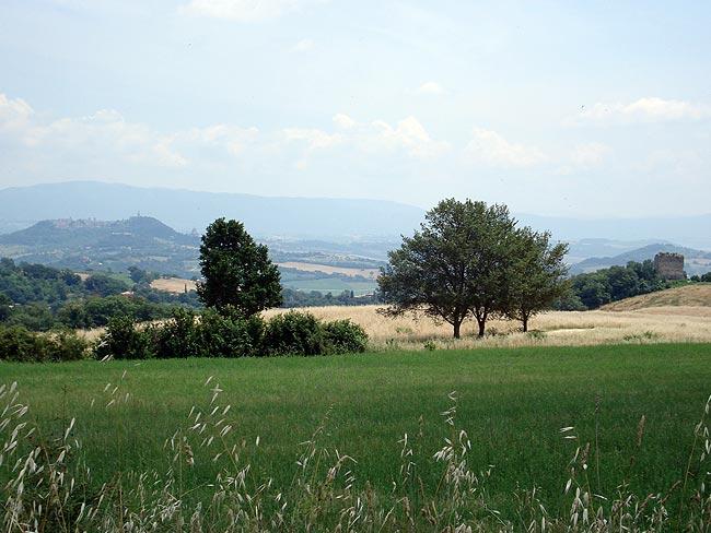 From Orvieto around Lake Corbara to Todi