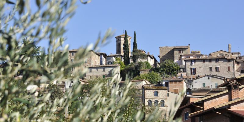 Veduta di Deruta con case in pietra e il campanile, tra cipressi e ulivi sotto un cielo azzurro limpido.