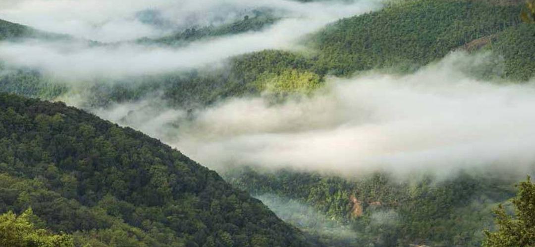 Titolo: The UNESCO World Biosphere Reserve of Peglia Mount