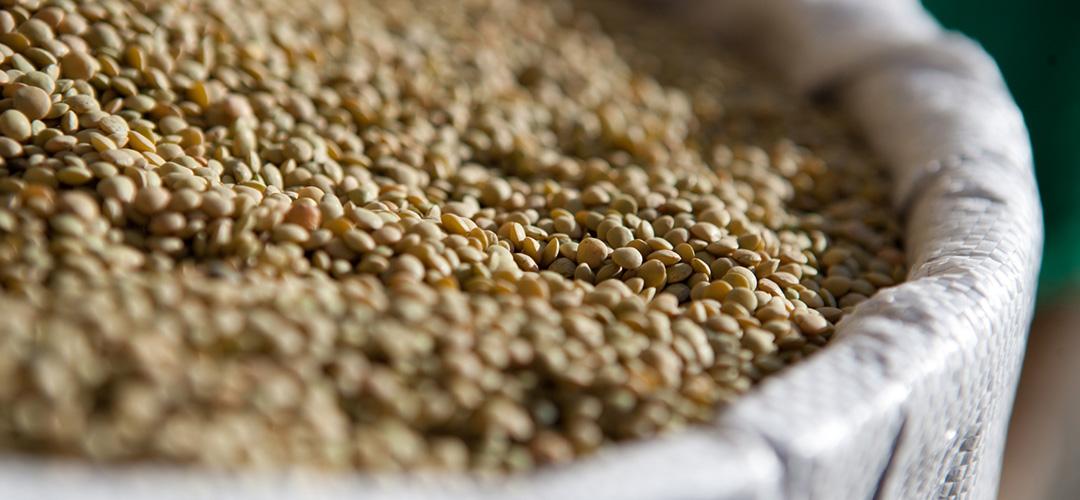 Titolo: Tastes of the earth