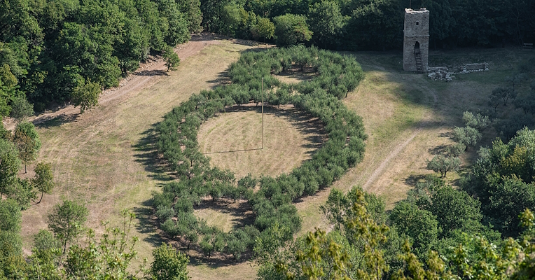 Un champ d'herbe avec 3 cercles formés par des oliviers, une tour médiévale à droite, et des forêts et des oliveraies qui s'étendent de chaque côté.