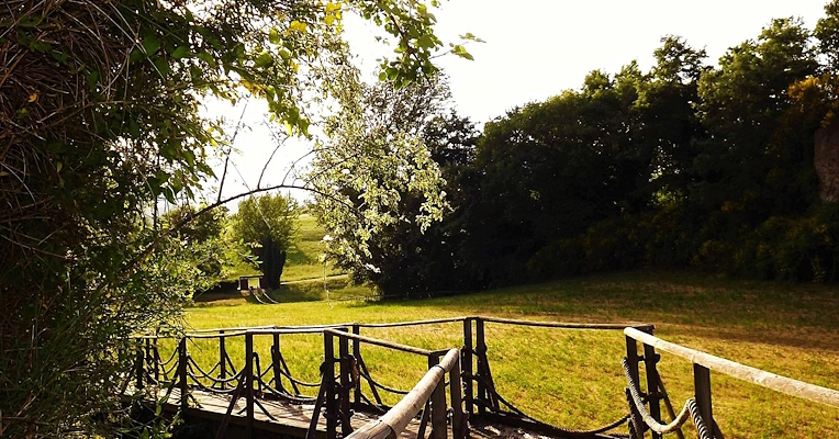 Passerelle en bois dans une prairie verdoyante menant vers la forêt environnante
