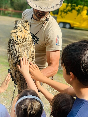 Des enfants caressent le dos d'un oiseau de proie perché sur le bras d'un fauconnier.