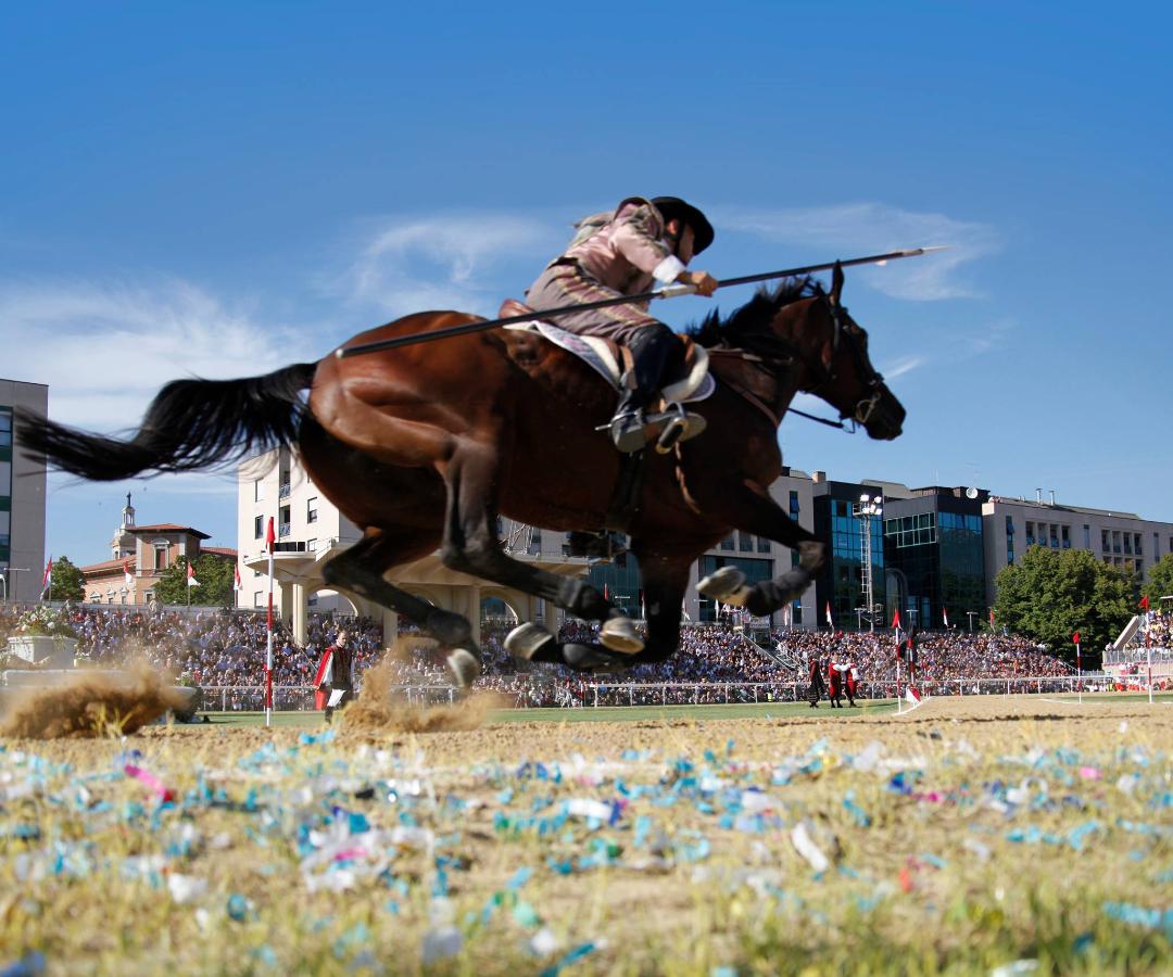 Museo della Quintana 4D