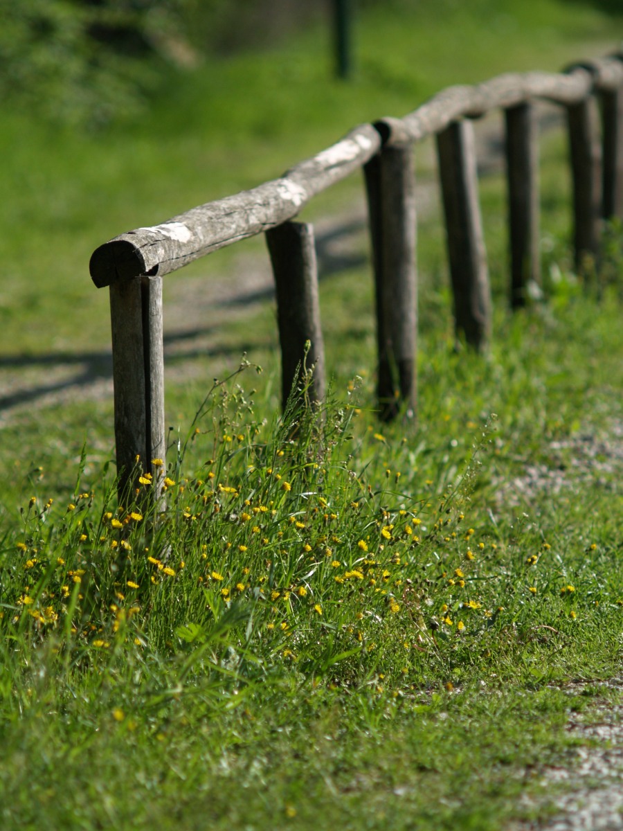 A weekend in the midst of nature and history, in Amelia, Narni, and more