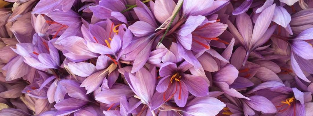 Titolo: I percorsi del gusto