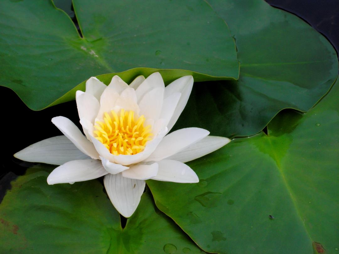 Oasi naturalistica La Valle