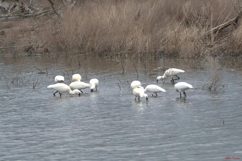 Oasi naturalistica La Valle