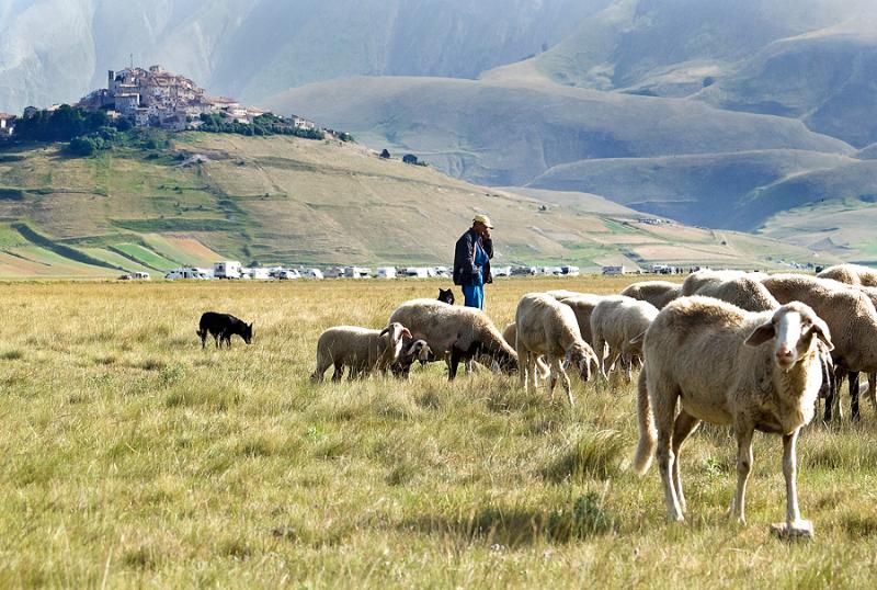 Titolo: Parco Nazionale dei Monti Sibillini